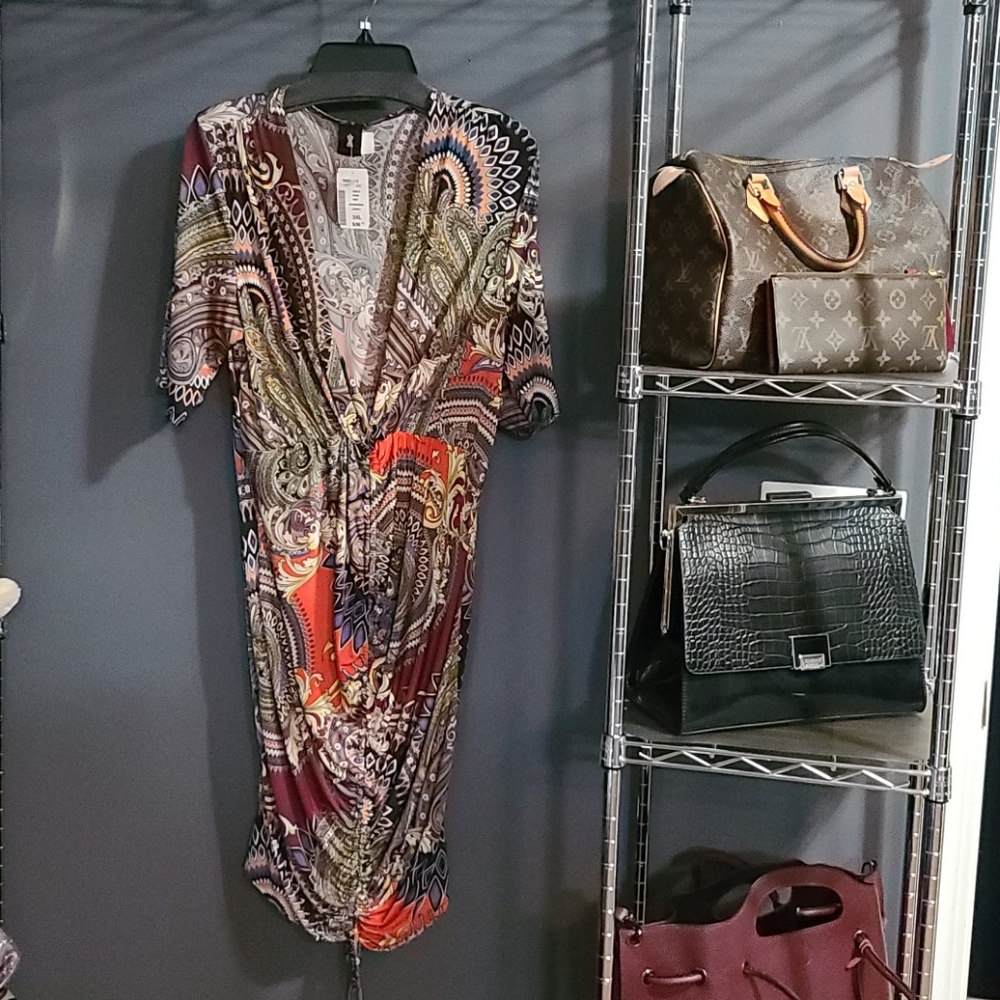 Dress (Size 3X)